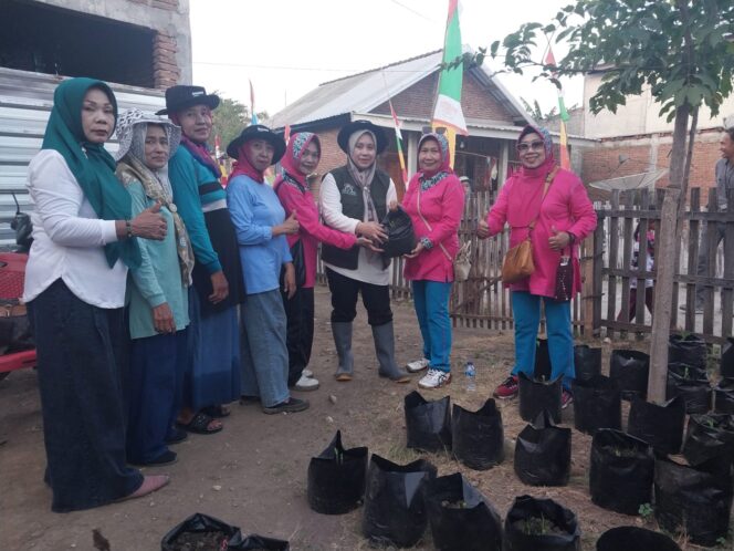 
 Program Kampung Gizi, Warga Ai Limung Panen Sayuran dari Pekarangan Sendiri